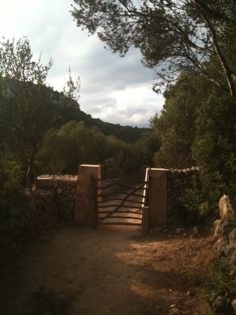 Olive wood gravity gate